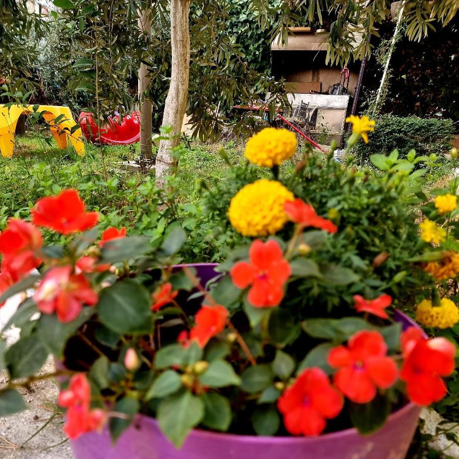 Vacation Home Near The Sea Durres Ngoại thất bức ảnh